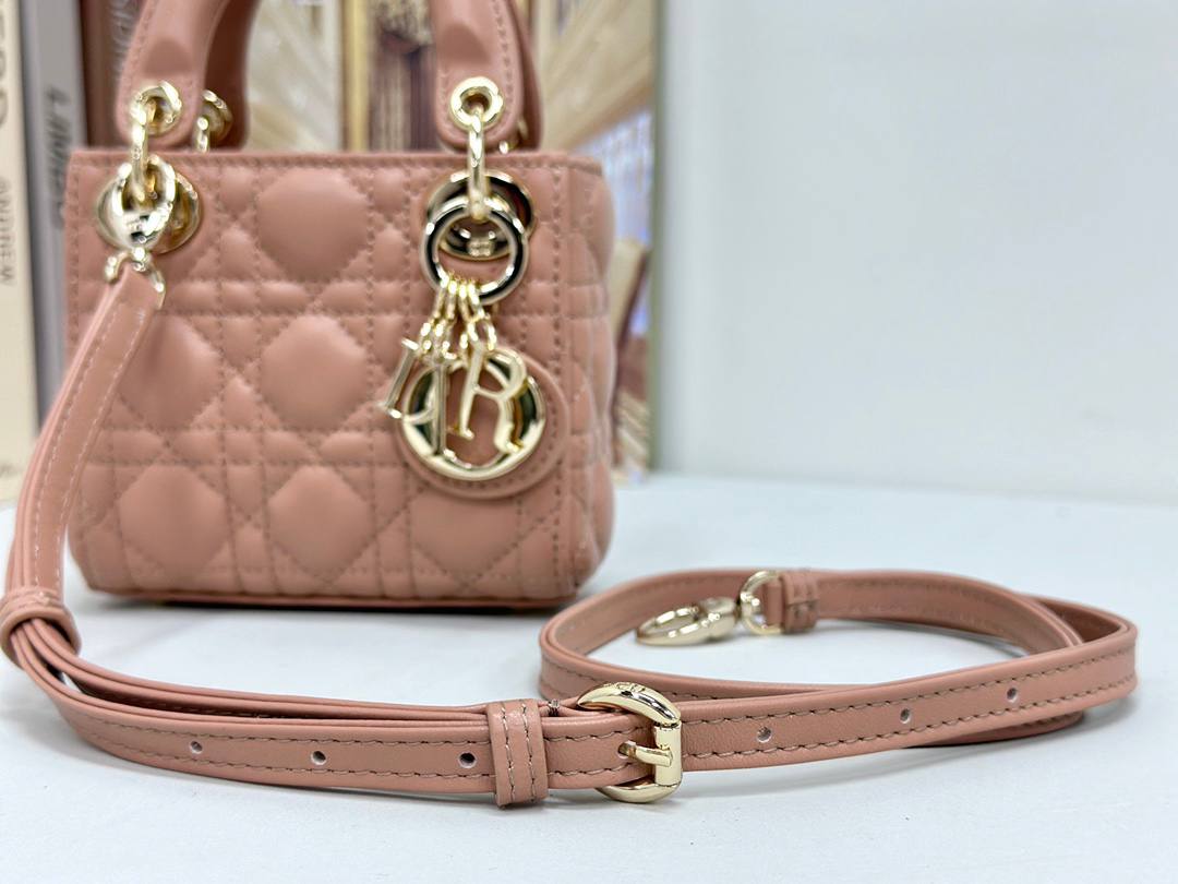 Dior mini handbag in red-brown lambskin.