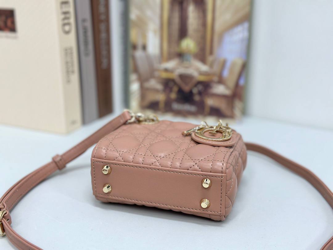 Dior mini handbag in red-brown lambskin.