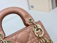Dior mini handbag in red-brown lambskin.