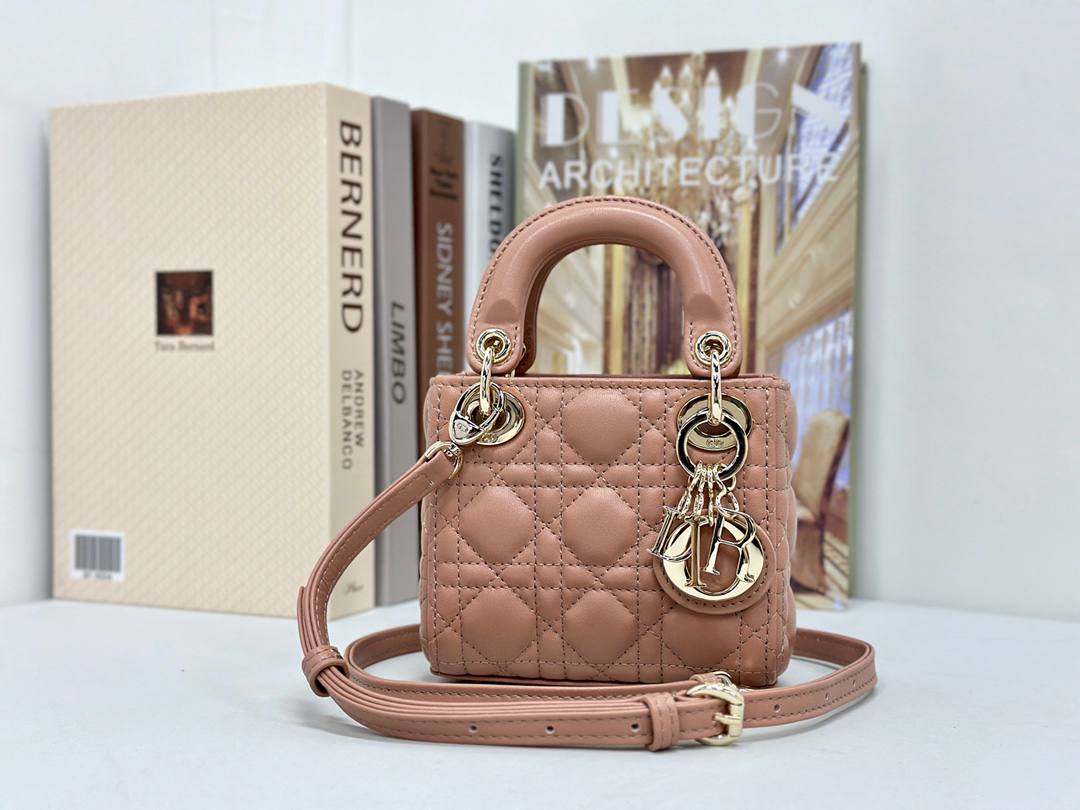 Dior mini handbag in red-brown lambskin.